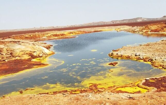 photo 2026 03 08 13 15 49