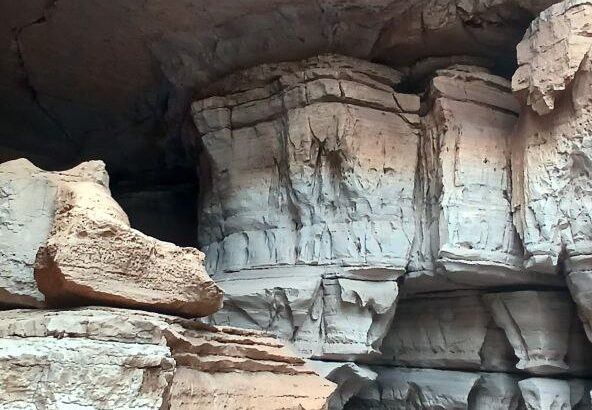 photo 2026 03 08 13 16 37